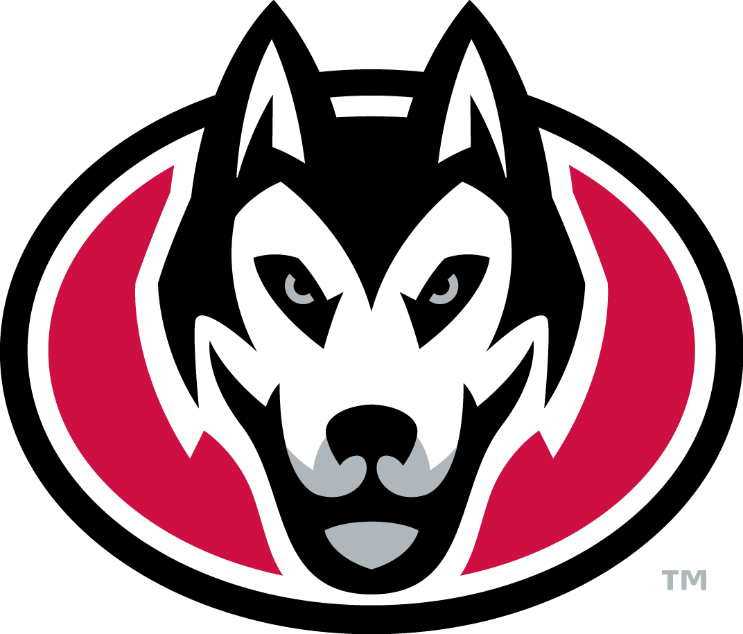 St. Cloud State Huskies 2014-Pres Secondary Logo diy fabric transfers